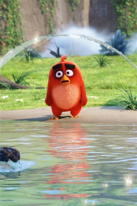 640x960 The Angry Birds Movie Latest iPhone 4, iPhone 4S ...