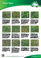 Australia obviously has far more warm climate areas than cool, but there are plenty of grass types to choose from in each category. Great Aussie Lawns - Turf & Lawn Suppliers - 3-9 Carawa Dr - Reservoir