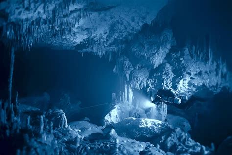 Premium Photo Diving In The Cenotes Mexico Dangerous Caves Diving