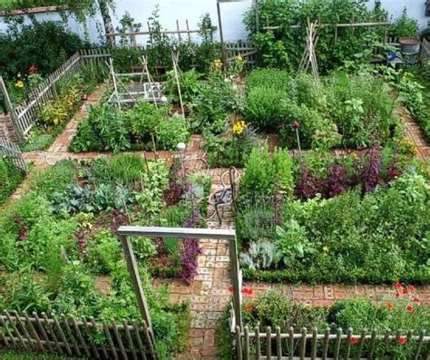 I want you to experience the excitement you get when seedlings first sprout from the soil and the wonderful sense of accomplishment you get. Beautiful urban permaculture garden example. | 1000 in ...