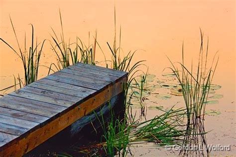 Gordon Wolford Photographyontariocentral Ontarioriver Grass At Dock