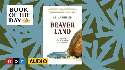 In Beaverland Leila Philip Credits The Beaver With Building America Book Of The Day YouTube