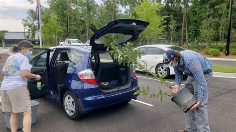 Arbor Day Tree Sale Sells Out 400 Trees On First Day