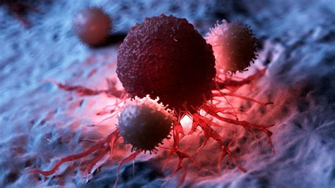 Uncovering Cancer Immune System Interactions Could Inform How Patients