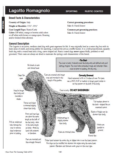 2016-04-15_1411 | Dog grooming, Dog competitions, Pet grooming