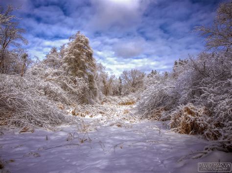 David Marvin Photography Lansing Michigan Winter Wonderland