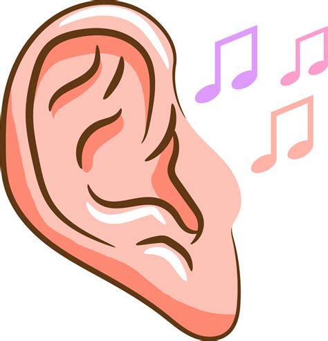 Free Clipart Of An Ear