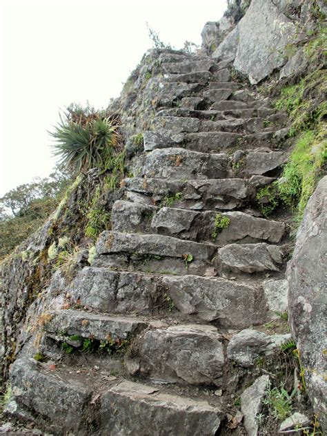 A Guide To Hiking Machu Picchu Mountain Montaña The Only Peru Guide