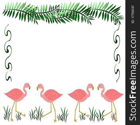 Pink Flamingo Frame Free Stock Images And Photos 17703137