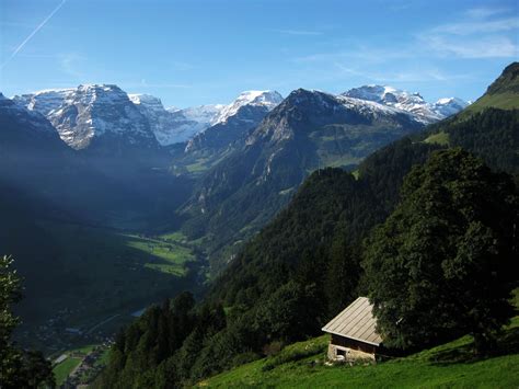 Filebraunwald Alps Wikimedia Commons
