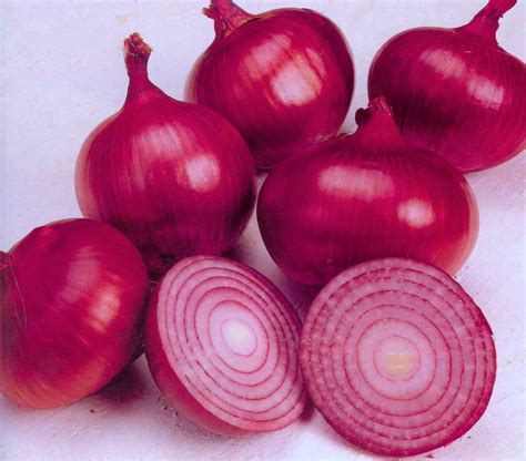 Jaehee cheon, who lost her parents at early age and can't remember their face, who has lived without a single friend, let alone a lover, reincarnated as the unlucky princess in a novel that dies at the age of twelve! ONION - WHY INDIA FACE SHORTAGE | Brain Cloud
