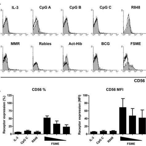 Activated Pdcs Are Potent Stimulators Of Both Cd4 ؉ And Cd8 ؉ T Cells