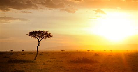 The sun cools Sub-Saharan Africa