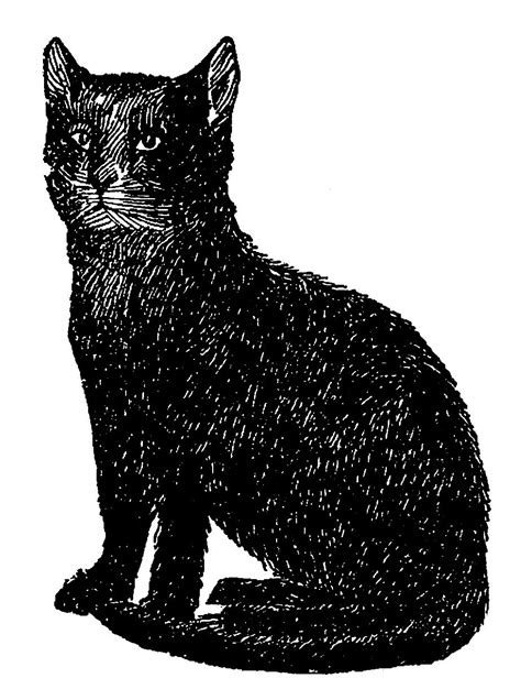 Digital Stamp Design Digital Black Cat Illustration Vintage Animal