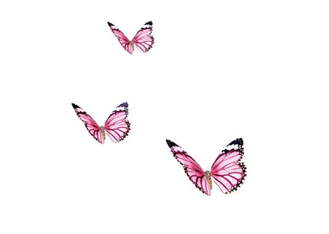 Pink Butterfly Png Pic Png Arts