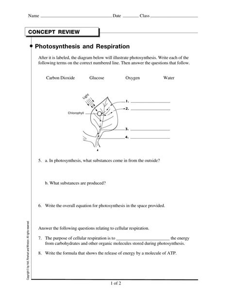 Listening | sample paper 2. Photosynthesis And Respiration Worksheet Answers ...