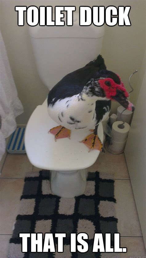 Toilet Duck That Is All Misc Quickmeme