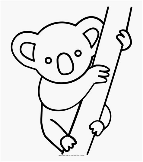 Due to its unique climatic and geological conditions, australia is known for its distinctive creatures. Koala clipart colour, Koala colour Transparent FREE for ...