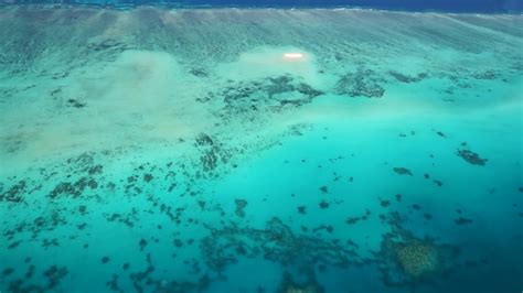 A Birds Eye View Of The Great Barrier Reef Youtube