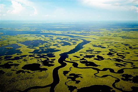 55 Reasons Why The Florida Everglades Are Special — Destination Wildlife™