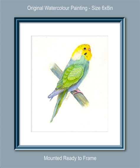 Rainbow Budgie Budgerigar Parakeet Parrot Painting In Etsy Australia