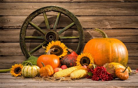 Wallpaper Autumn Harvest Pumpkin Still Life Vegetables