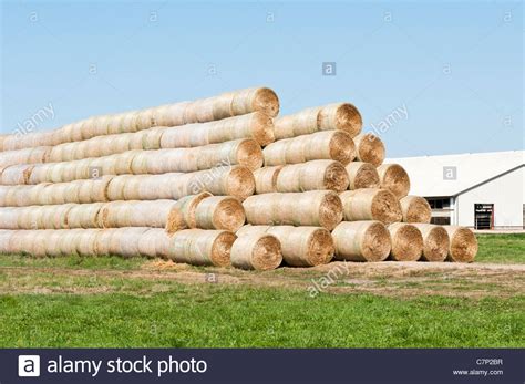 Agriculture Round Bales Alfalfa Hay High Resolution Stock Photography