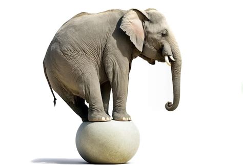 Premium Photo A Circus Elephant Balancing On A Ball Generative Ai