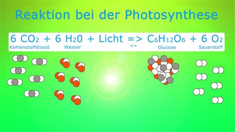 Bei der photosynthese verwandeln pflanzen einfaches kohlenstoffdioxid in energiereiche die photosynthese geschieht in den grünen teilen der pflanzen. Photosynthese - Fotosynthese Formel im Video einfach ...