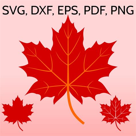 Maple Leaf Svg File For Cricut Fall Leaf Clipart Canadian Maple