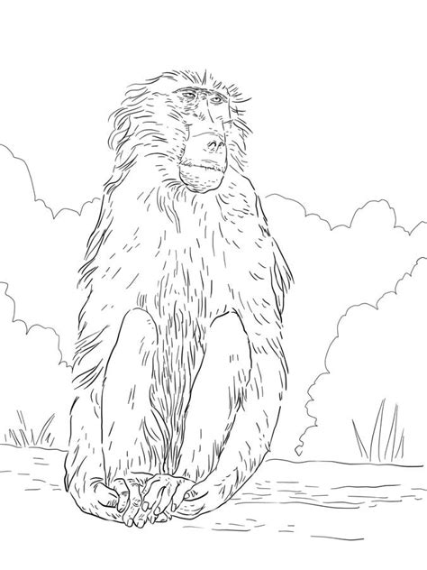 Coloring Pages Coloring Pages Baboon Printable For Kids And Adults Free