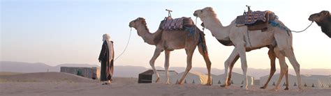 The camel no.9 menthe 100s are a smooth, very distinct cigarette. Morocco Bucket List - Farfelue