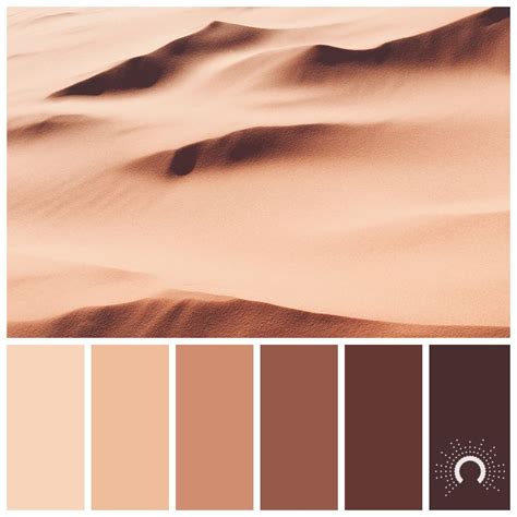 Color Palette Color Combination Farbpalette Dune Düne