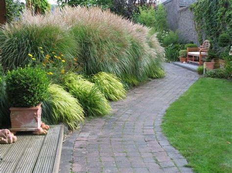 Sie wünschen sich ein ziergras, das auch im winter schön aussieht und den garten schmückt? Pin auf Gartenbepflanzung