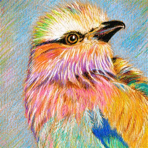 See more ideas about color pencil drawing, colored pencils, color pencil art. Image Maker: New Colored Pencil Drawing Art class starting ...