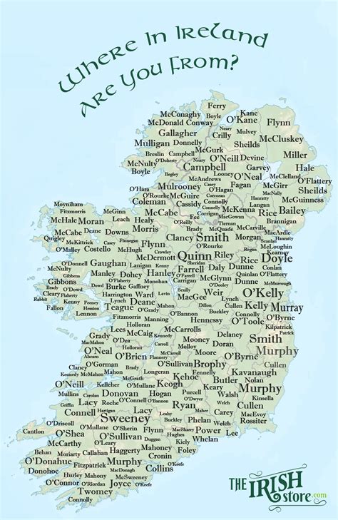 Popular Irish Surnames Their Origin And Coat Of Arms The Irish Store Irish Surnames Irish
