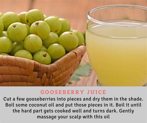 Amla also has a positive effect on the digestive, excretory, respiratory, circulatory, reproductive. Gooseberry or Amla is one of the most commonly used ...