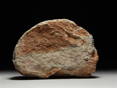 Some dinosaurs laid about 20 eggs, and carefully arranged them in a circle inside the nest. Fossils & Antiques: Prehistoric Fossilized Dinosaur Egg ...
