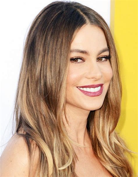 the brunette color guide 50 sultry shades of brown hair sofia vergara hair brunette color