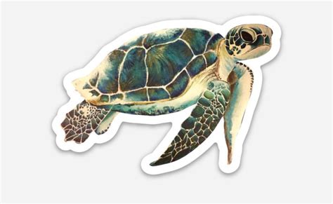 Turtle Sticker Etsy