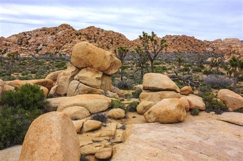 Joshua tree national park is an american national park in southeastern california, east of los angeles and san bernardino, near palm springs. Mooie Landschapsmening Van Keien, Rode Rotsvormingen Van ...