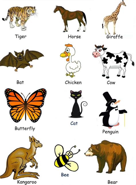 Animales Con Sus Nombres En Inglés Animales En Ingles Imagenes De