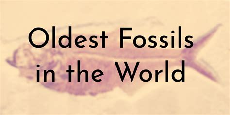 8 Oldest Fossils In The World