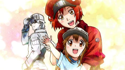Watch Cells At Work Streaming Online Yidio