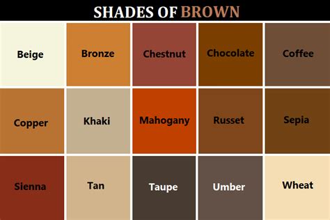 Image Result For Material Nude Color By Name Brown Color Names Color