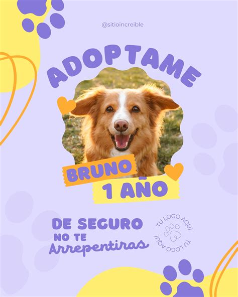Introducir 70 Imagen Frases De Adopcion De Mascotas Abzlocalmx