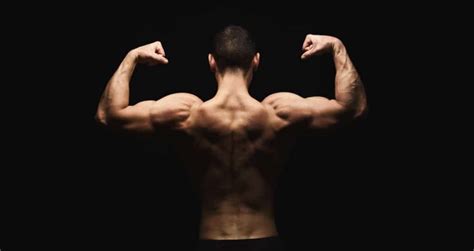 The Muscle Building Guide For Beginners According To Pro Natural