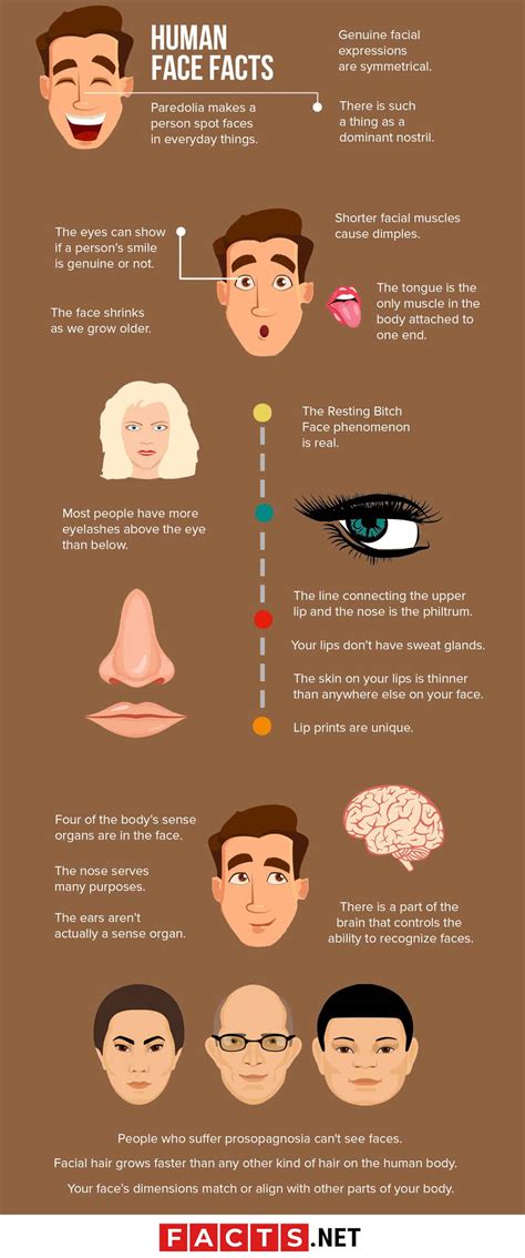 40 Surprising Facts About The Human Face You Have To See