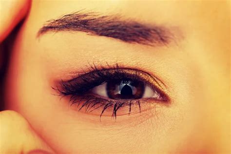 Woman Eye With Long Eyelashes Stock Image Everypixel