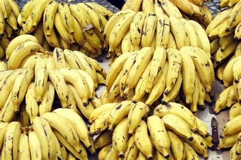 A Grade Fresh Yellow Banana Rs 20kg Samarth Herbal Agro Id 22073230412